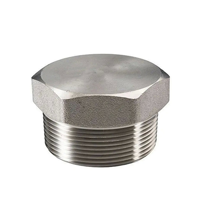 ASTM B366 নকল ইস্পাত প্লাগ 4