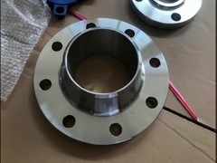 খাদ ইস্পাত Flanges
