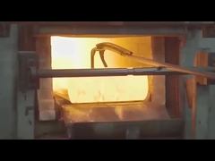 প্রকৃত পণ্যের ভিডিও প্রদর্শন