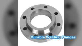 ওয়েল্ডিং নেক ফ্ল্যাঞ্জ SS304 SS316 PN6