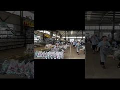 আমাদের আধুনিক শিল্প কারখানার ভিতরে | উত্পাদন সুবিধা সফর