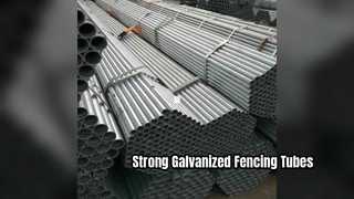 টেকসই বেড়া জন্য Galvanized ইস্পাত টিউব